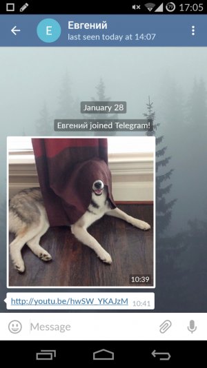 telegram 300x534