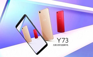 vivo y73 01