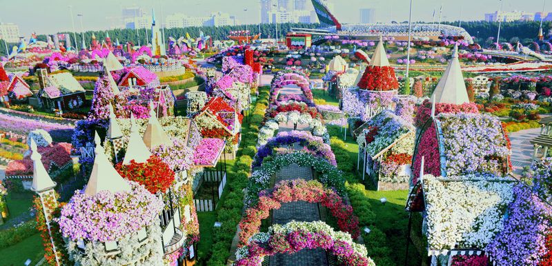 Dubai Miracle Garden