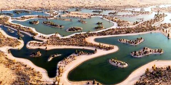 al qudra lakes