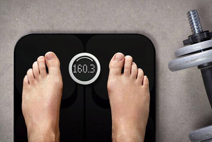 fitbit aria scale xl