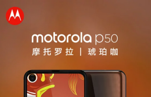 motorola p50